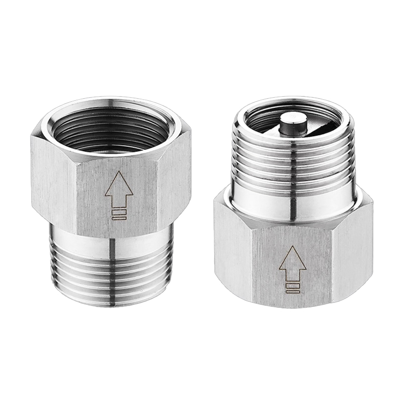 صمامات فحص من الفولاذ المقاوم للصدأ